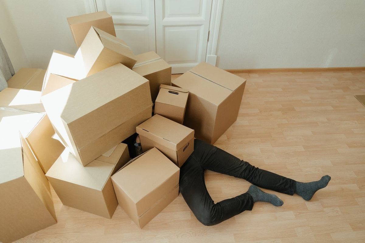 Cardboard Box Removal - 6 Ways to Dispose Sustainably