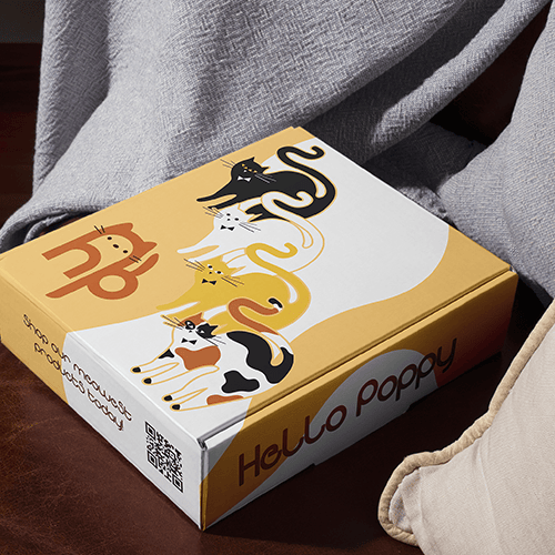 Subscription Mailer Boxes for Small Businesses