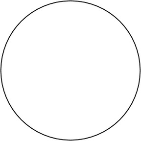 Blank/From scratch