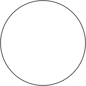 Blank/From scratch